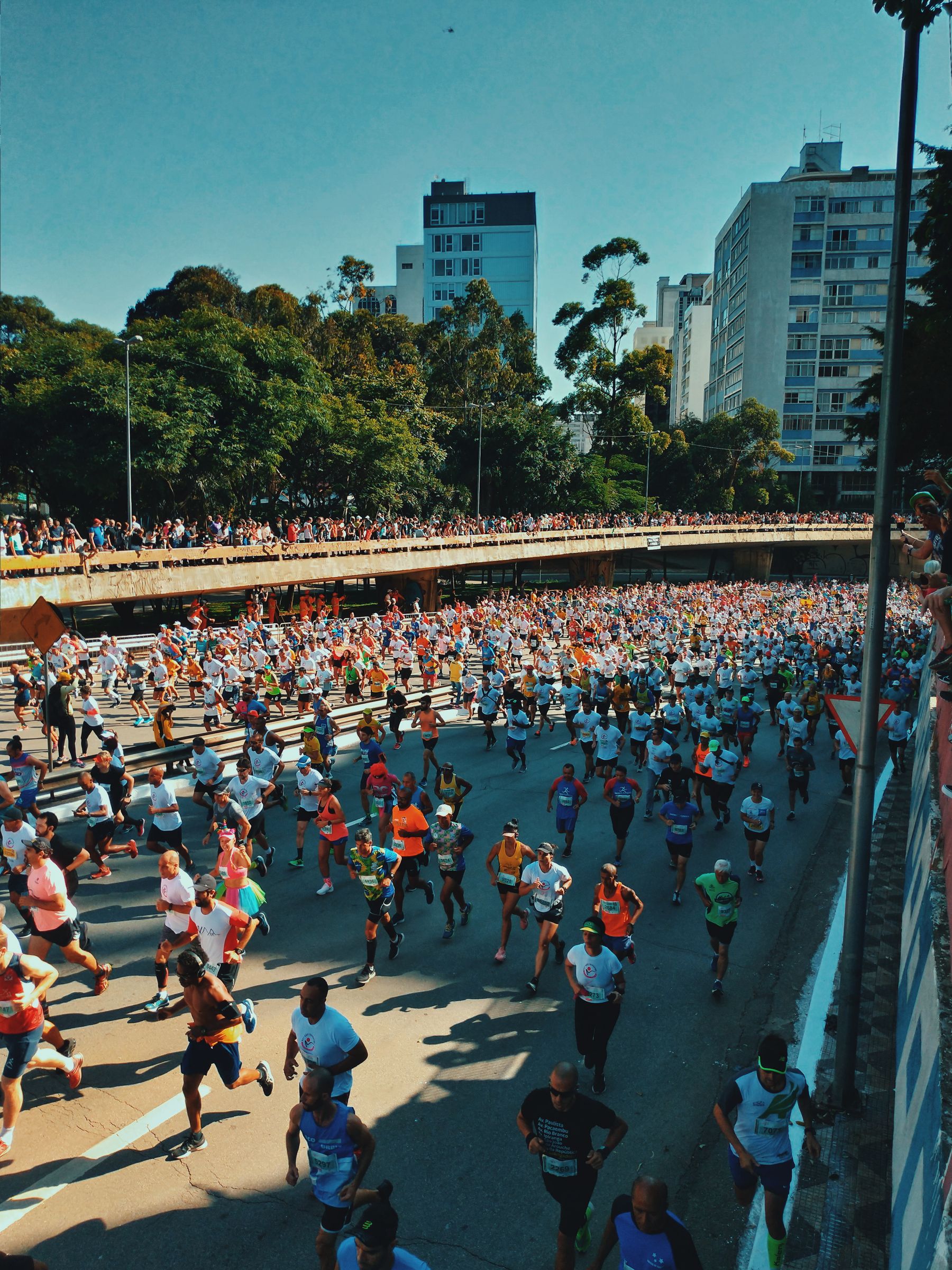 A large group of runners moving through a city marathon course