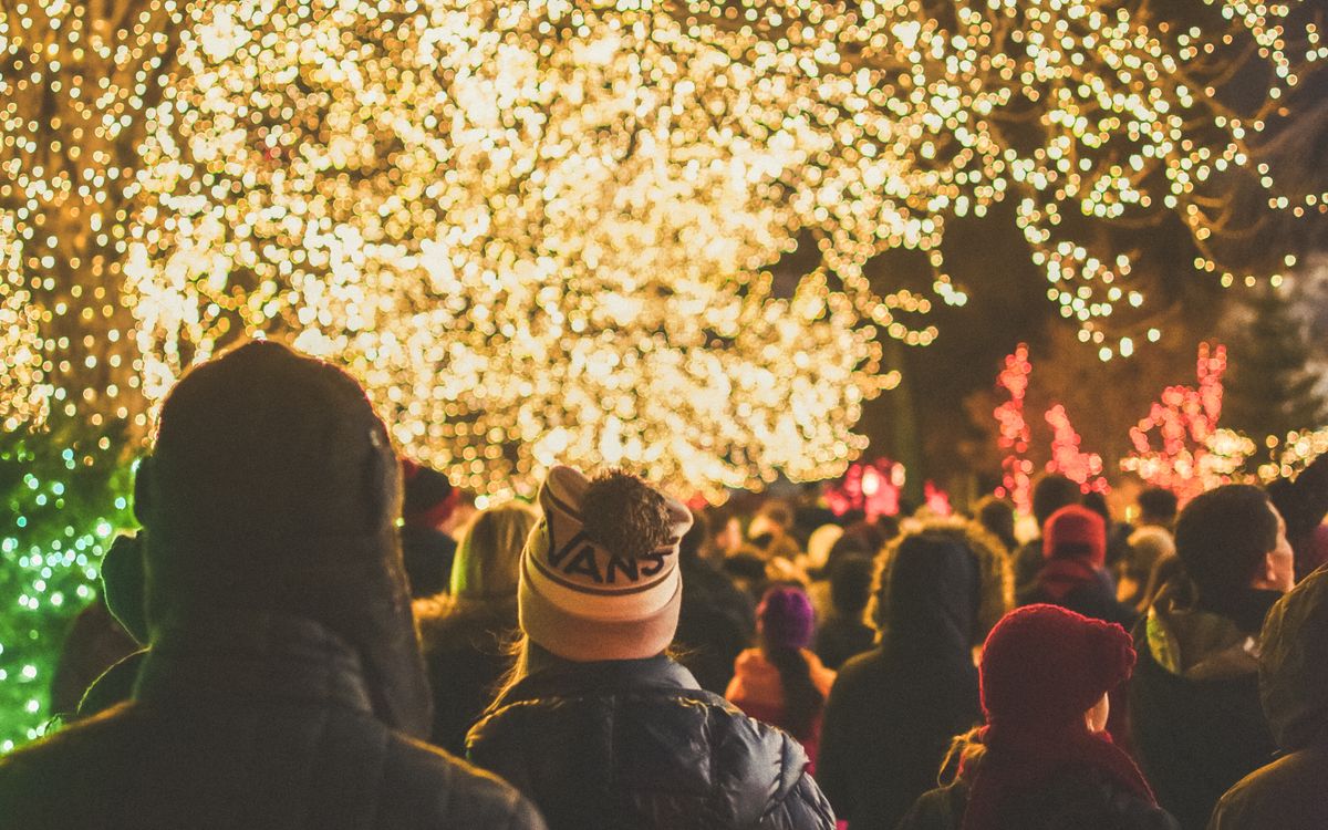 Crowd walking beneath outdoor Christmas lights at night