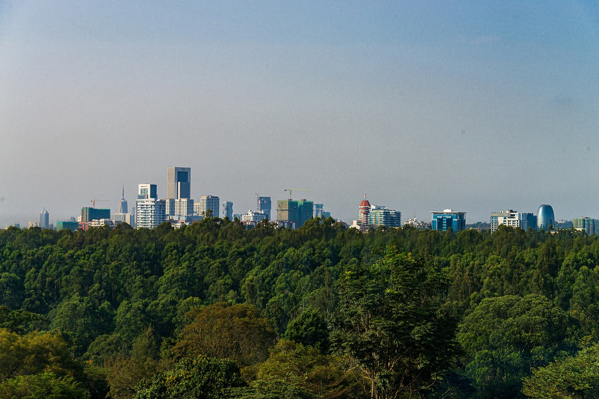Nairobi city guide image