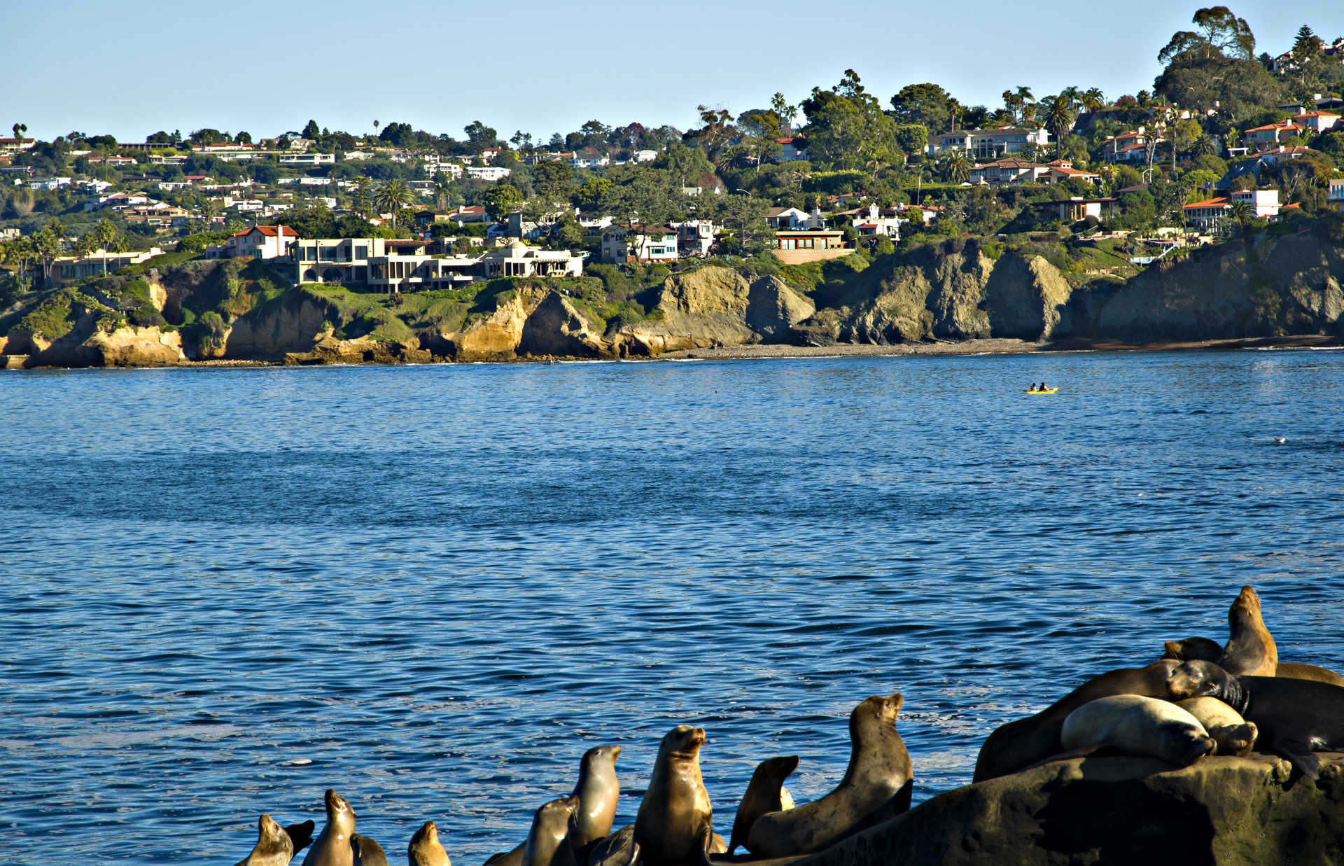 San Diego city guide image