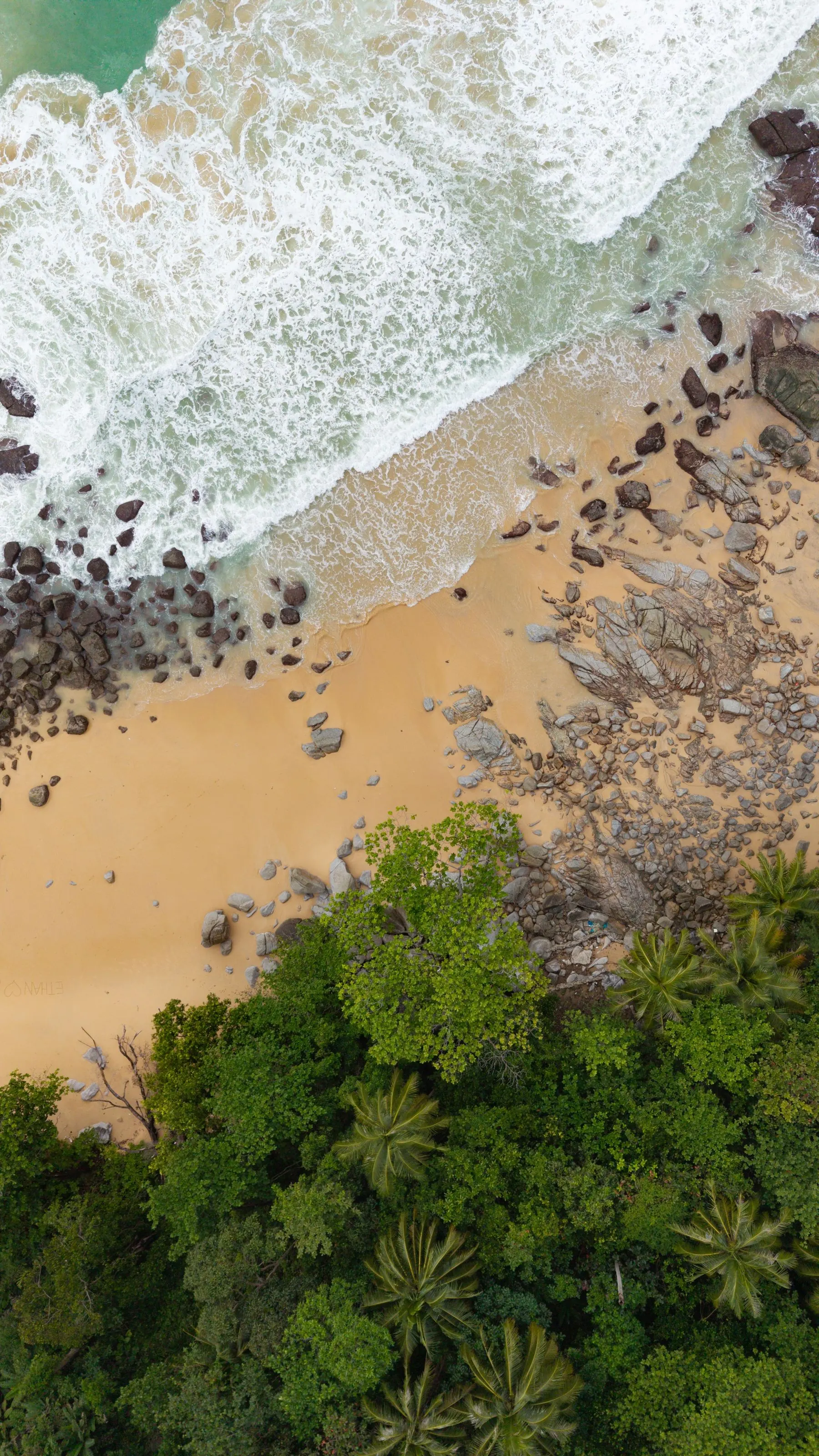 Waves and trees along a secluded Phuket beach seen from above