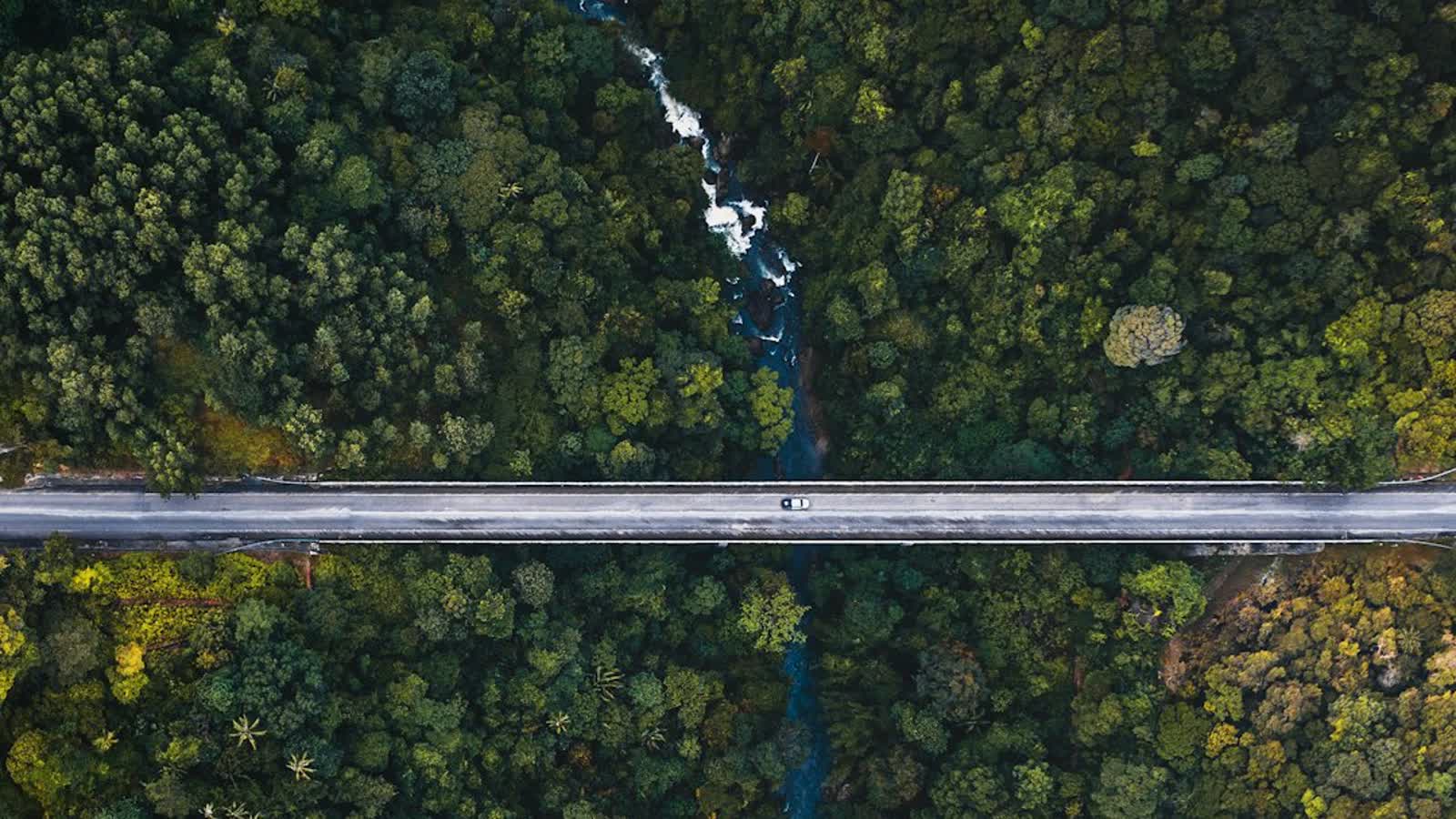 Aerial view of a road bridge crossing dense tropical forest