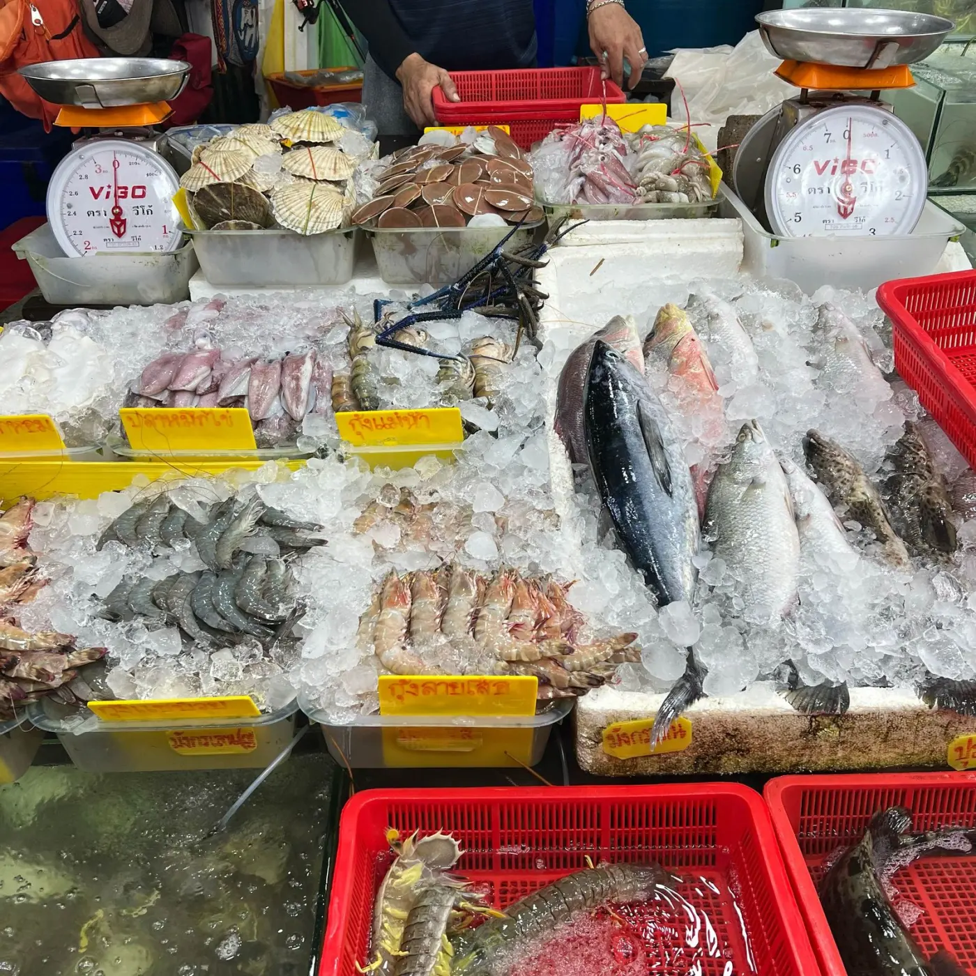 Fresh seafood displayed at a Phuket market
