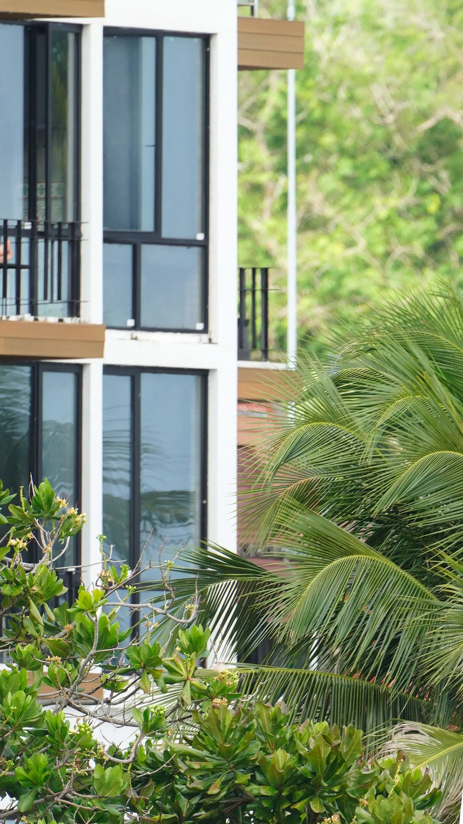 Contemporary residential building surrounded by tropical greenery in Phuket